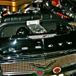 IMG_0542 IMG_0542