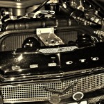 IMG_0548 IMG_0548